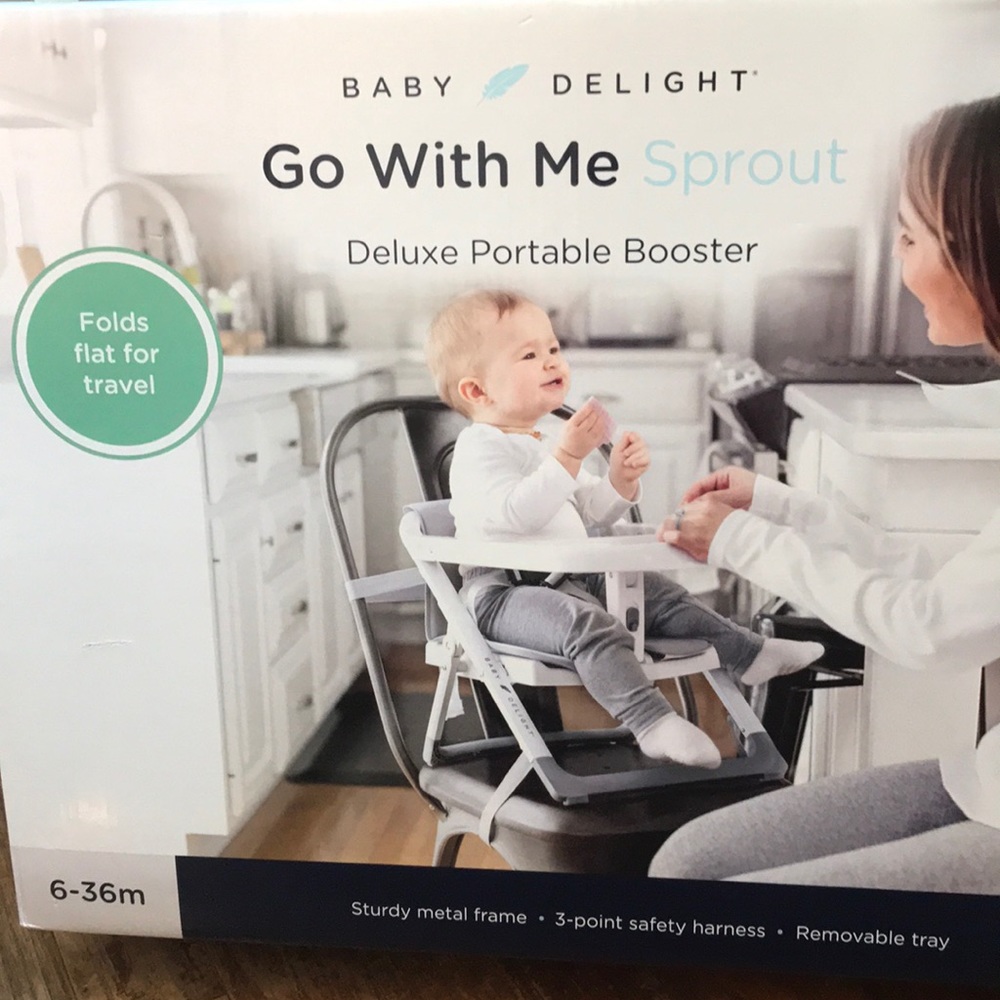 Baby delight go with me portable booster seat